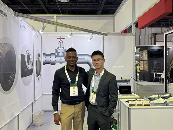 seamless pipe manufacturers,lsaw pipe,api casing pipe