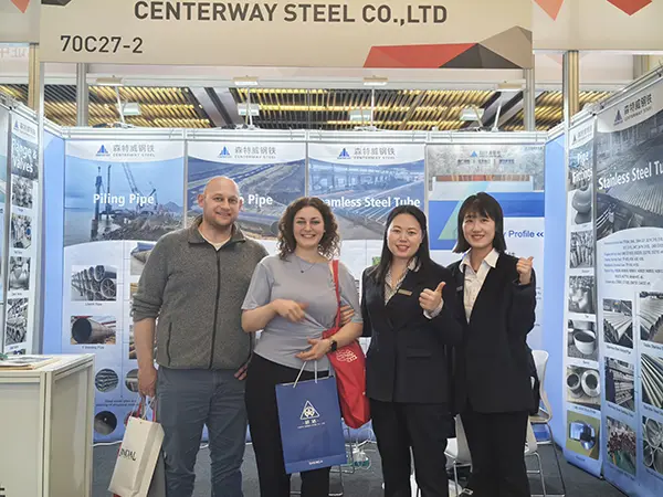 stainless seamless pipe,stainless steel pipe,boiler tubes