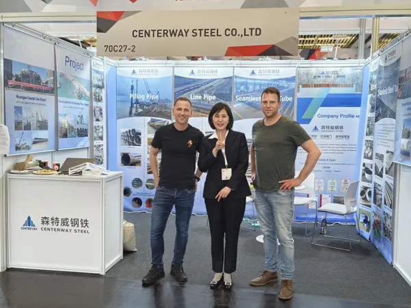 stainless seamless pipe,stainless steel pipe,boiler tubes