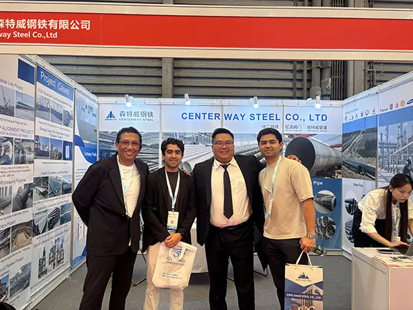 stainless seamless pipe,stainless steel pipe,boiler tubes