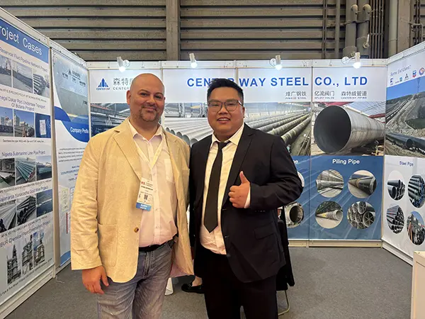 stainless seamless pipe,stainless welded pipe,duplex stainless pipe